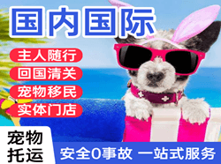 南洋航空托运国际宠物托运 【国